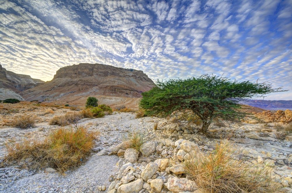 Masada in the desert of Israel